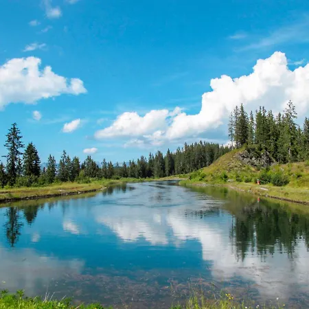 Brandegg 1 By Interhome * Fuegenberg