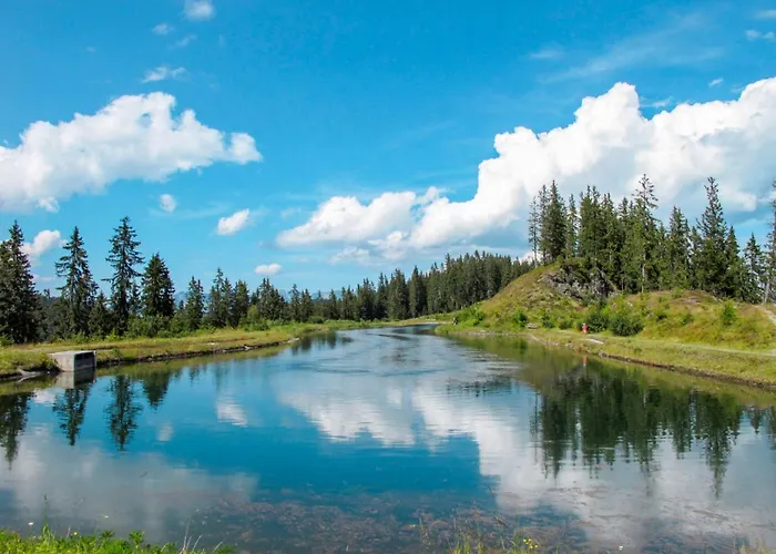 Brandegg 1 By Interhome * Fuegenberg